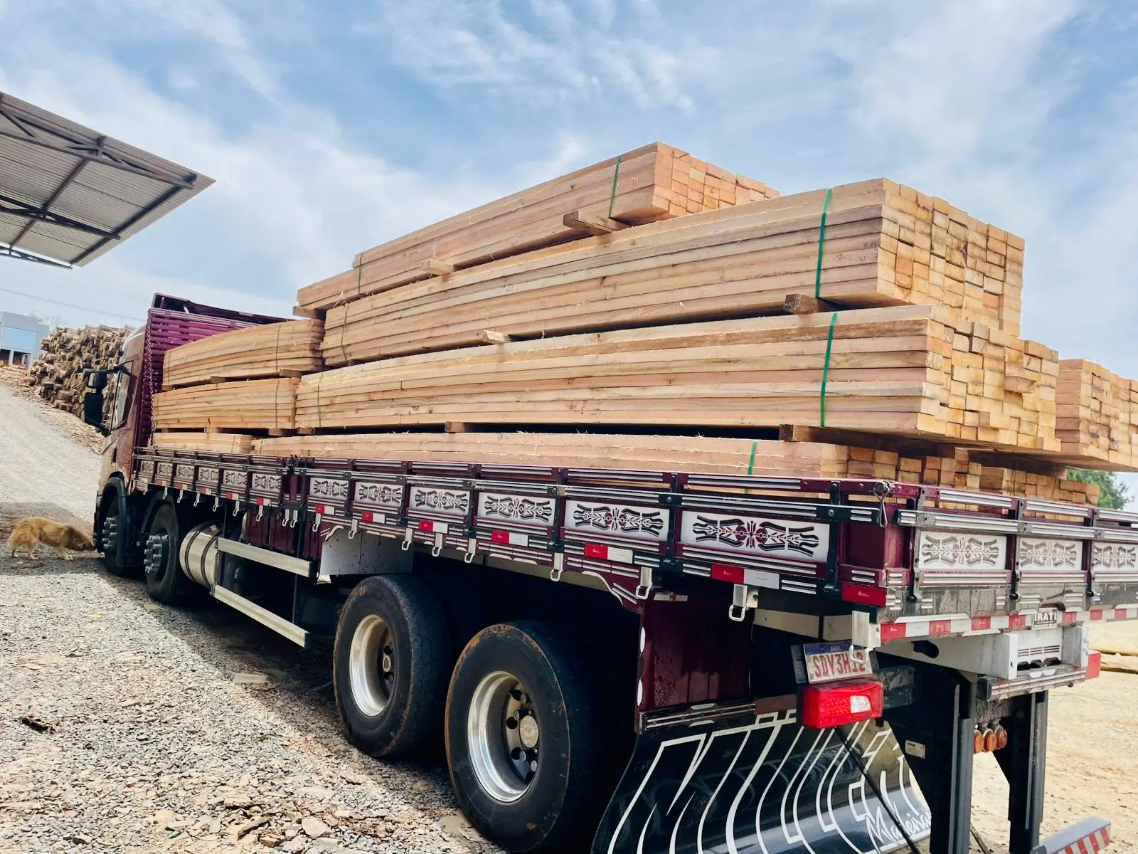 Logística Eucalipto